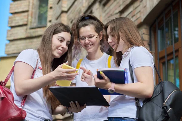 Pratende Groep Studentmeisjes Tienermeisjes Studenten Buurt Van Bakstenen Gebouw Terug — Stockfoto