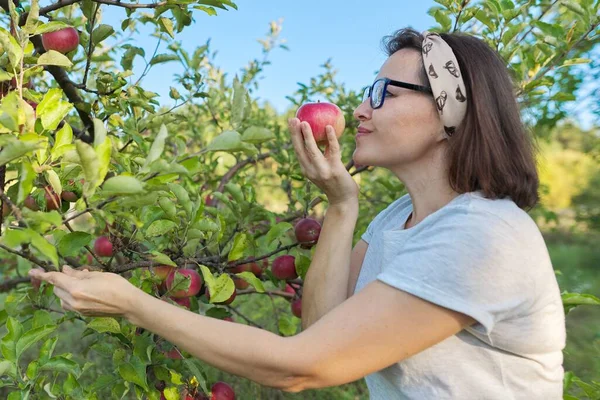 Mujer Jardinero Con Manzana Roja Recién Recogida Mano Fondo Árbol — Foto de Stock
