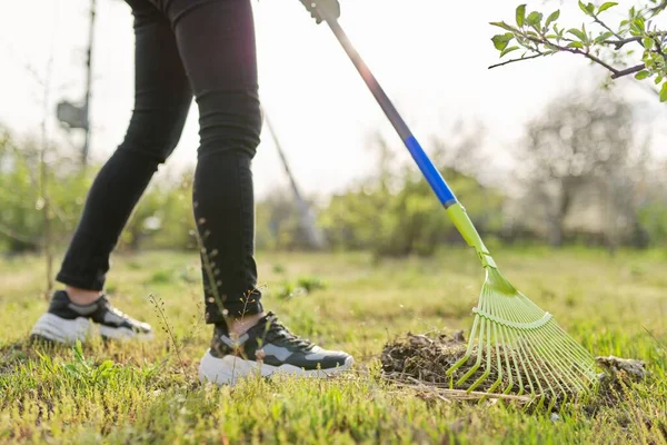 Spring Cleaning Garden Closeup Rake Cleaning Green Grass Dry Grass — Stok Foto