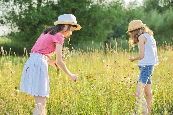 Dvě Hezké Holčičky Kráčející Slunné Louce Sbírající Divoké Květiny Kytici — Stock fotografie