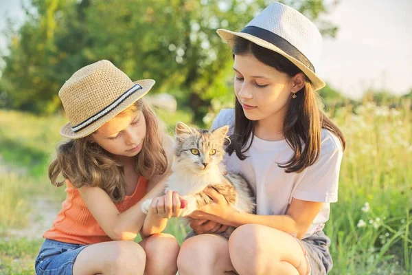 Barn Två Flickor Leker Med Grå Fluffig Katt Utomhus Vacker — Stockfoto