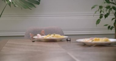 Mizah, evcil kedi tabaktan sosis çalar.