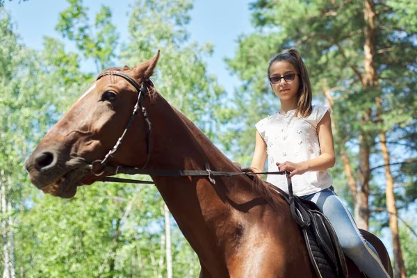 Adolescente chica montando un caballo marrón, montar a caballo para las personas en el parque —  Fotos de Stock