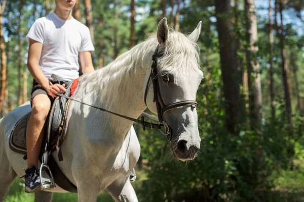 Spacery konne, nastolatek ujeżdżający białego konia w letnim lesie — Zdjęcie stockowe