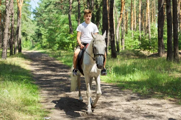 Верховая езда, мальчик-подросток верхом на белой лошади в летнем лесу — стоковое фото
