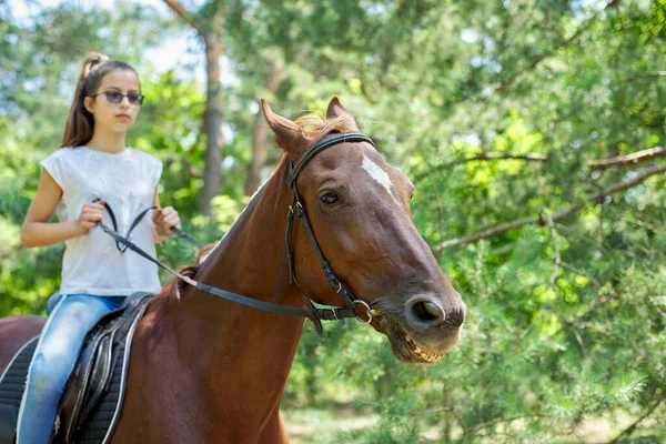 Nastolatka jeżdżąca na brązowym koniu, jazda konna dla ludzi w parku — Zdjęcie stockowe
