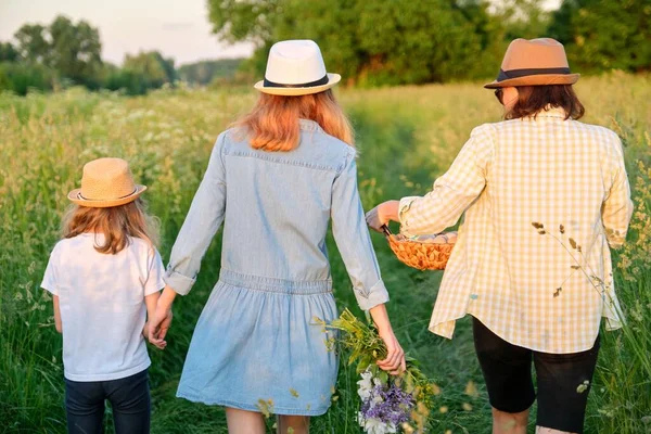 Женщина с двумя дочерьми ходит по лугу с корзиной, вид сзади — стоковое фото