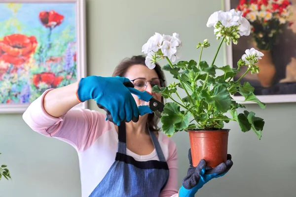 Женщина ухаживает за цветами в горшке дома, удаляет секаторы листья — стоковое фото
