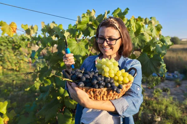 Portret van een gelukkige vrouw met een mand druiven — Stockfoto