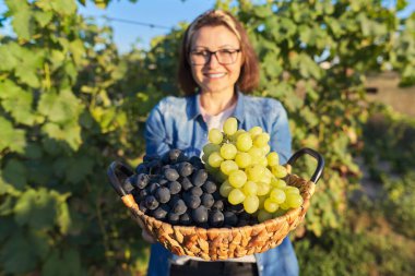 Kadının elinde yeşil ve mavi üzümlerle yakın çekim sepeti.