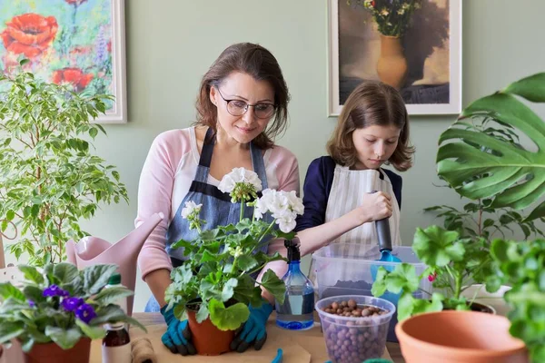 Мати і дочка дитина саджають горщики рослини, квіти — стокове фото