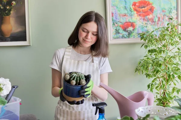 10代の少女がサボテンを鍋に保持。趣味とレジャー、家庭菜園、観葉植物 — ストック写真