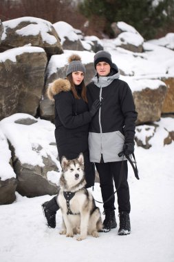 Hoş bir aile, bir erkek ve bir kız ile köpek kış ormandaki. Sibirya husky köpek ile oynamak.