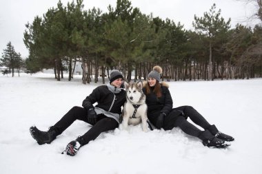 Hoş bir aile, bir erkek ve bir kız ile köpek kış ormandaki. Sibirya husky köpek ile oynamak.