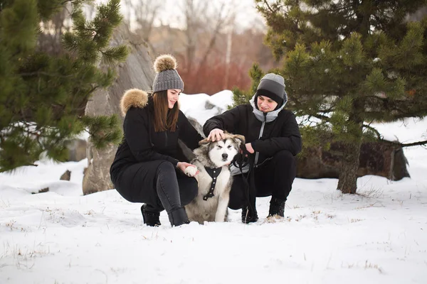 Bela família, um homem e uma menina na floresta de inverno com cão. Brincar com o cão Siberian husky . — Fotografia de Stock