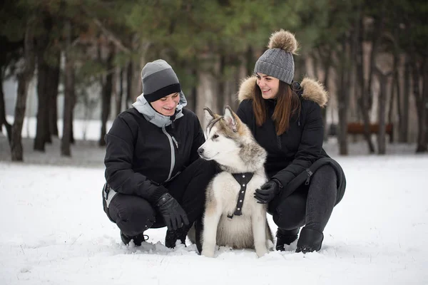 Bela família, um homem e uma menina na floresta de inverno com cão. Brincar com o cão Siberian husky . — Fotografia de Stock