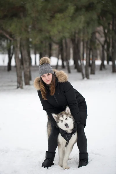 Menina bonita na floresta de inverno com cão. Brincar com o cão Siberian husky . — Fotografia de Stock