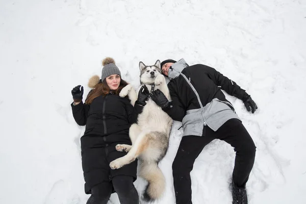 Bela família, um homem e uma menina na floresta de inverno com cão. Brincar com o cão Siberian husky . — Fotografia de Stock