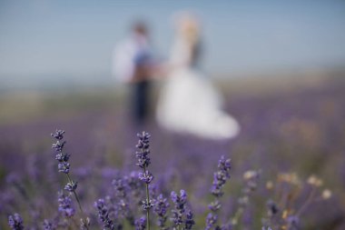 Gelin ve damat birlikte onların elele yürürken.