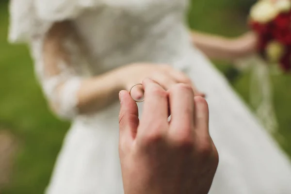 Gelin ve damat parmağına bir alyans taktı.. — Stok fotoğraf