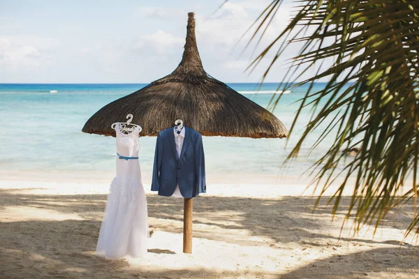 Wedding dress and grooms suit. Island. Palm trees. Beach. Sand. The sky.