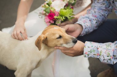 Gelin ve damat sokakta bir köpek besliyor..