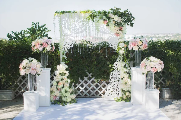 Bela cerimônia de casamento no parque contra o céu azul . — Fotografia de Stock