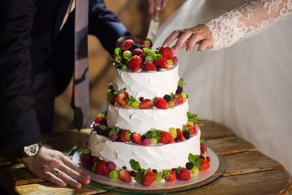 Novia y novio en la recepción de la boda de corte de la torta de boda. — Foto de Stock