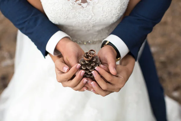 Bruidegom omarmt bruid in een dennenbos, hun handen houden een brok. — Stockfoto