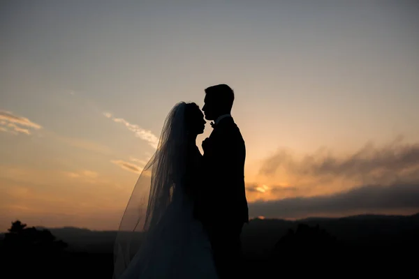 Paret bruden och brudgummen titta på varandra vid solnedgången i bergen. Silhuetter. — Stockfoto