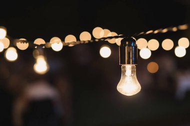 Geceleri bahçedeki bir ağaçta asılı duran dekoratif ip ışıkları..