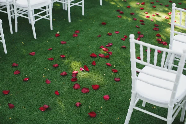 Belles chaises blanches de mariage lors de la cérémonie dans le parc . — Photo