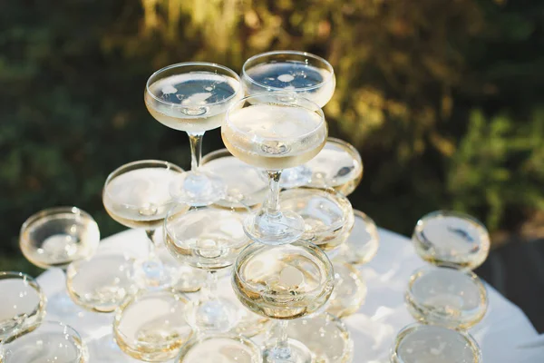 新婚旅行のための宴会でシャンパンと美しい丘. — ストック写真