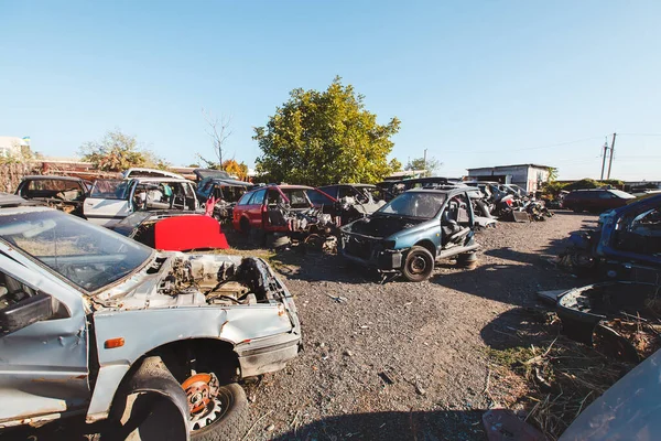 Scrap car recycle yard. Hundreds of old cars at a scrap yard.