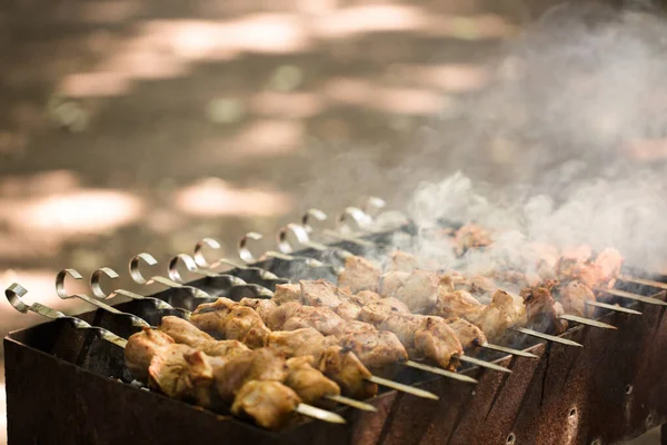 Marinated shashlik preparing on a barbecue grill over charcoal. Shashlik or Shish kebab popular in Eastern Europe. Shashlyk was originally made of lamb — Stock Photo, Image