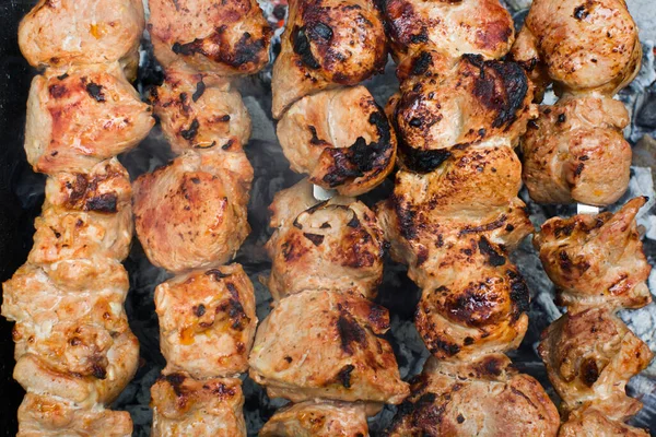 Beef and pork barbecue, steak on the grill. Kebab on a skewer. Nature — Stock Photo, Image