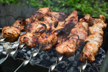 Biftek ve domuz barbeküsü, ızgarada biftek. Şişte kebap var. Doğa