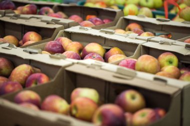 Süpermarkette kasalarda elmalar. Sağlıklı yiyecekler. Vitaminler.