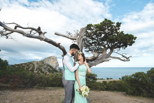 A noiva e o noivo na natureza nas montanhas perto da água. Terno e vestido Tiffany cor. Beijar perto de uma árvore . — Fotografia de Stock