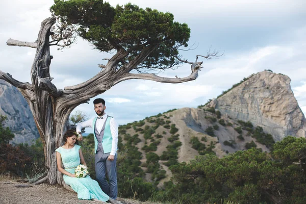 A noiva e o noivo na natureza nas montanhas perto da água. Terno e vestido Tiffany cor. Beijo e abraço . — Fotografia de Stock