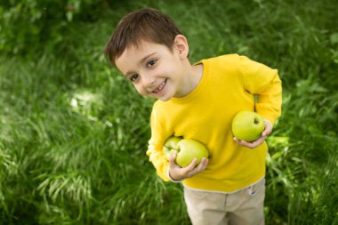 Güneşli bir günde yeşil çimlerde elma toplayan şirin bir çocuk. Sağlıklı beslenme.