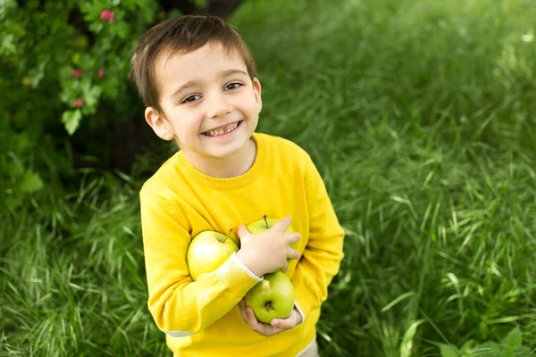 Schattige kleine jongen plukken appels in een groene gras achtergrond op zonnige dag. Gezonde voeding. — Stockfoto