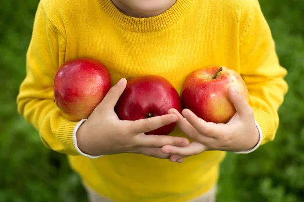 Schattige kleine jongen plukken appels in een groene gras achtergrond op zonnige dag. Gezonde voeding. — Stockfoto