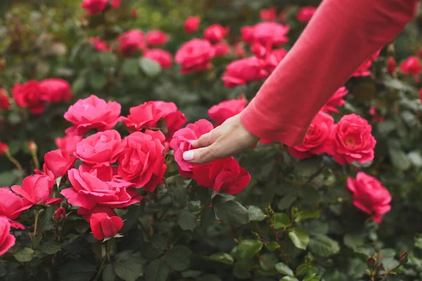 Hermosa chica en el parque. Rosas florecientes. Fuente. . — Foto de Stock
