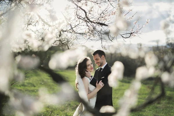 Gelin ve damat yeşil ormanda. — Stok fotoğraf