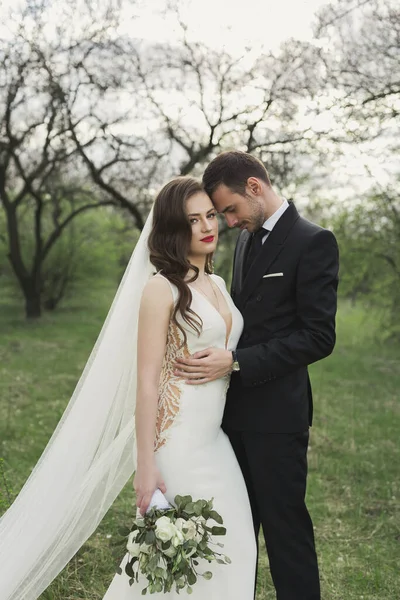 Gelin ve damat yeşil ormanda. — Stok fotoğraf