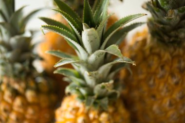 Masada bir sürü ananas var..