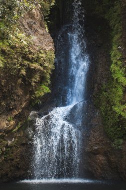 Mauritius Adası 'nda güzel bir şelale..