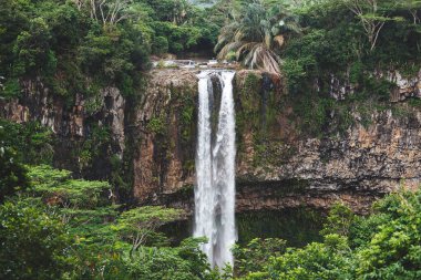 Chamarel Mauritius Şelalesi. Dağdan düşen su.