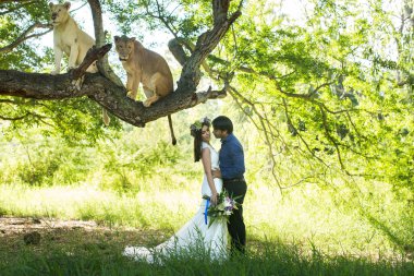 Doğada iki dişi aslan olan güzel gelin ve damat..